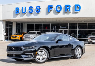 2026 Ford Mustang EcoBoost® Fastback