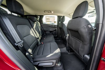 2026 Ford Escape Active®