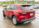 2026 Ford Escape Active®
