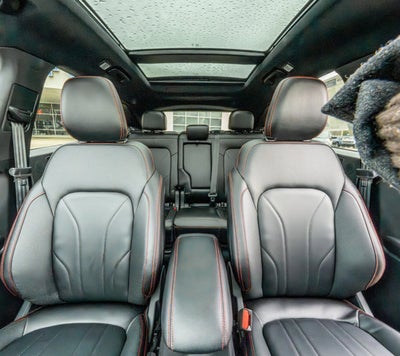 2026 Ford Escape ST-Line Elite