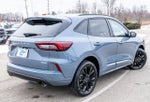 2026 Ford Escape ST-Line Elite