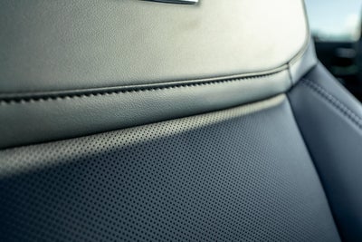 2026 Ford Expedition Platinum®