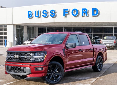 2025 Ford F-150 STX