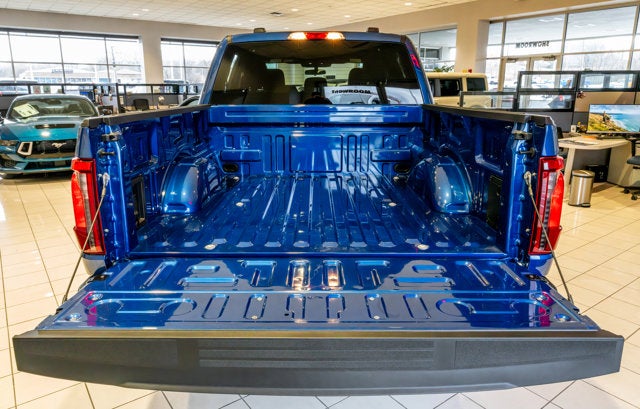 2025 Ford F-150 STX®