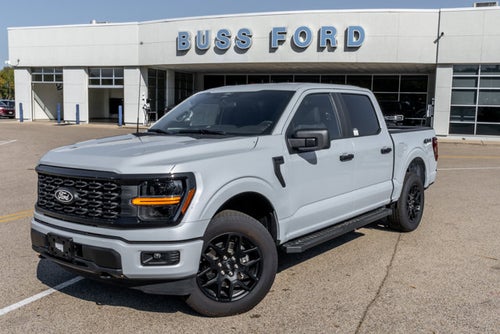 2025 Ford F-150 STX®