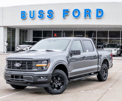 2025 Ford F-150 STX®