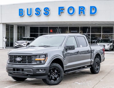 2025 Ford F-150 STX®