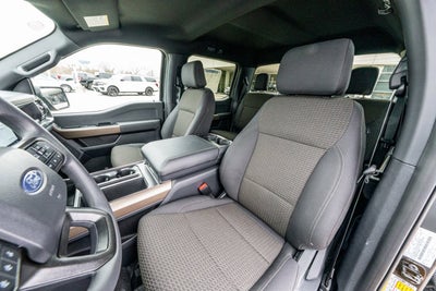 2025 Ford F-150 STX®