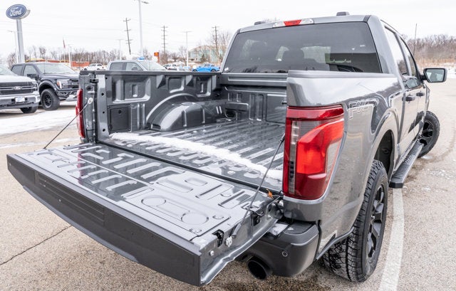 2025 Ford F-150 STX®