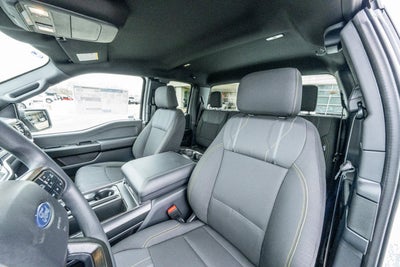 2025 Ford F-150 STX®