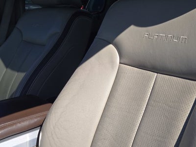 2010 Ford F-150 Platinum