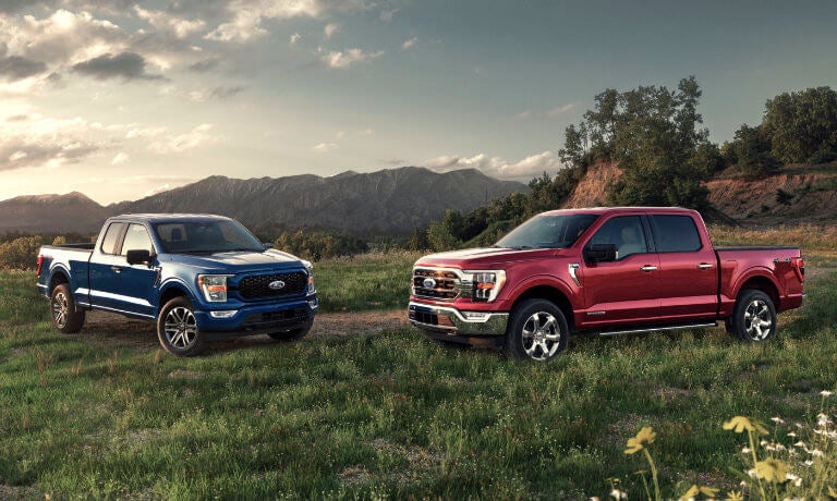 Two 2022 Ford F-150s parked in a grassy field