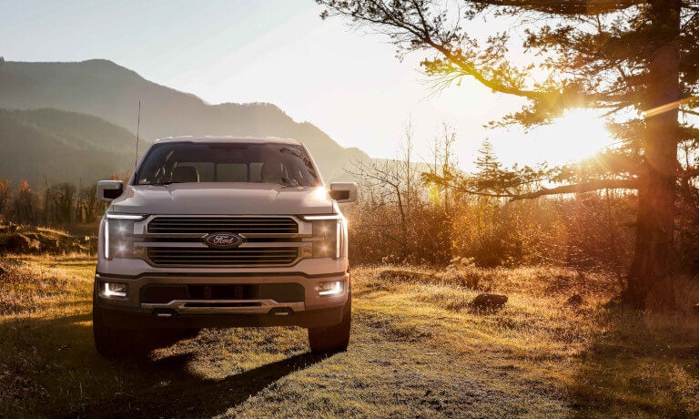 2024 Ford F-150 in a forest at sunrise
